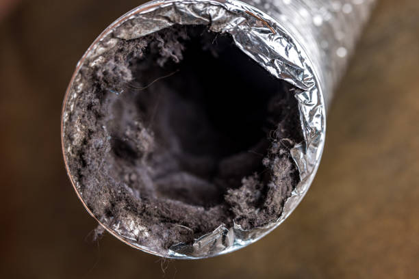 Best Dryer Vent Cleaning in Paloma Creek South, TX